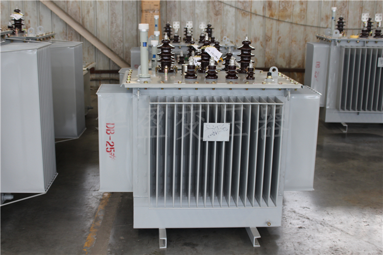 徐州S20-800kVA/10kV/0.4kV变压器